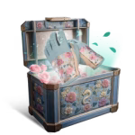 CSGO Case